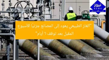 “الغاز الطبيعي يعود إلى المصانع جزئيًا الأسبوع المقبل بعد توقف 6 أيام”