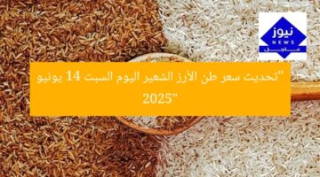 “تحديث سعر طن الأرز الشعير اليوم السبت 14 يونيو 2025”
