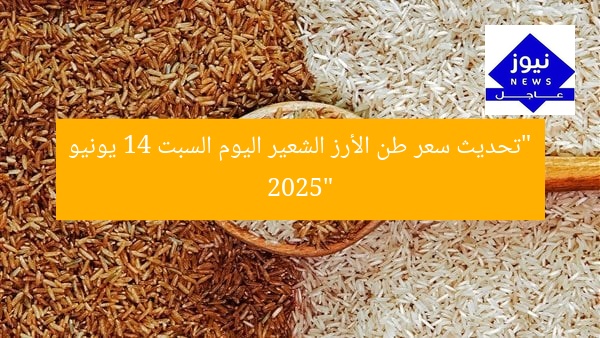 “تحديث سعر طن الأرز الشعير اليوم السبت 14 يونيو 2025”