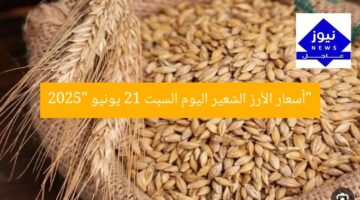 “أسعار الأرز الشعير اليوم السبت 21 يونيو 2025”