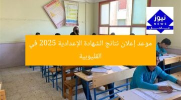 موعد إعلان نتائج الشهادة الإعدادية 2025 في القليوبية