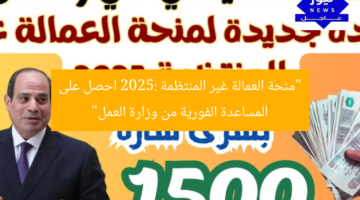 “منحة العمالة غير المنتظمة 2025: احصل على المساعدة الفورية من وزارة العمل”