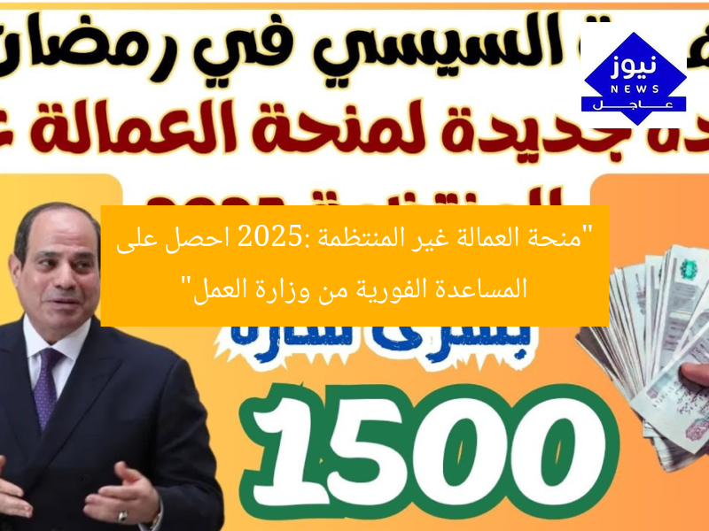 “منحة العمالة غير المنتظمة 2025: احصل على المساعدة الفورية من وزارة العمل”