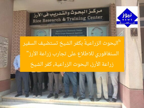 “«البحوث الزراعية» بكفر الشيخ تستضيف السفير السنغافوري للاطلاع على تجارب زراعة الأرز”
زراعة الأرز, البحوث الزراعية, كفر الشيخ