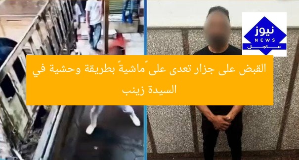 القبض على جزار تعدى على «ماشية» بطريقة وحشية في السيدة زينب