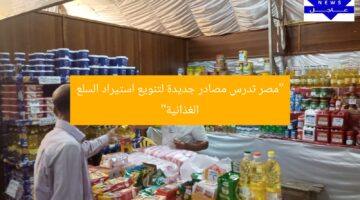 “مصر تدرس مصادر جديدة لتنويع استيراد السلع الغذائية”