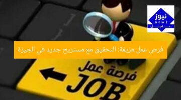فرص عمل مزيفة: التحقيق مع مستريح جديد في الجيزة