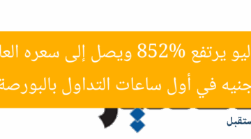 سهم فاليو يرتفع 852% ويصل إلى سعره العادل 7.4 جنيه في أول ساعات التداول بالبورصة