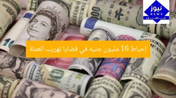 “ضبط 16 مليون جنيه في قضايا اتجار في العملة”  
اتجار في العملة, ضبط الأموال, 16 مليون جنيه