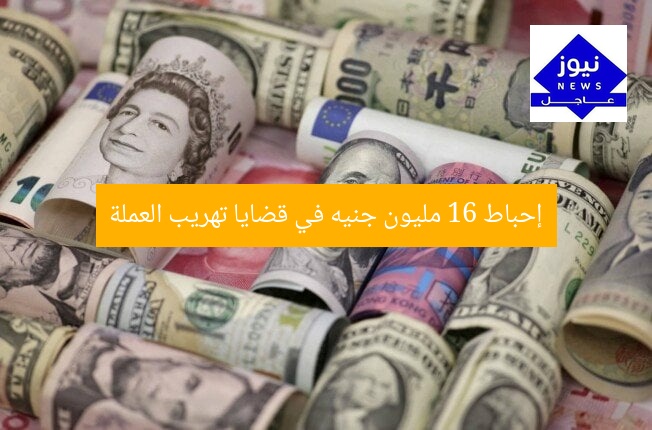 “ضبط 16 مليون جنيه في قضايا اتجار في العملة”
اتجار في العملة, ضبط الأموال, 16 مليون جنيه