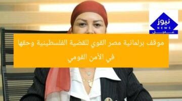 موقف برلمانية مصر القوي للقضية الفلسطينية وحقها في الأمن القومي