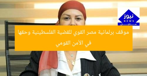 موقف برلمانية مصر القوي للقضية الفلسطينية وحقها في الأمن القومي