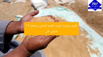 تقرير رويترز: توريد القمح المحلي يتجاوز 3.9 مليون طن
