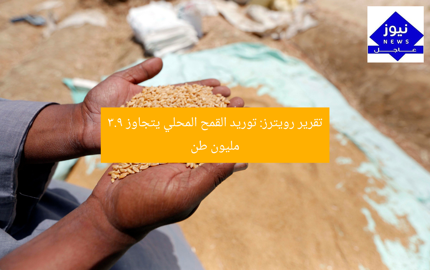 تقرير رويترز: توريد القمح المحلي يتجاوز 3.9 مليون طن