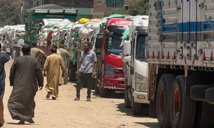 محافظ المنوفية يتابع منظومة توريد القمح ويؤكد توريد 105ألف طن