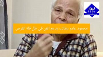 محمود عامر يطالب بدعم الفن في ظل قلة الفرص