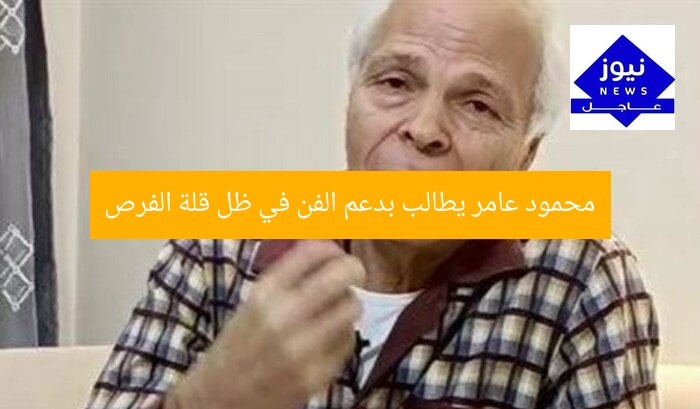 محمود عامر يطالب بدعم الفن في ظل قلة الفرص