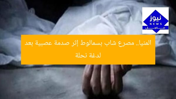 المنيا.. مصرع شاب بسمالوط إثر صدمة عصبية بعد لدغة نحلة