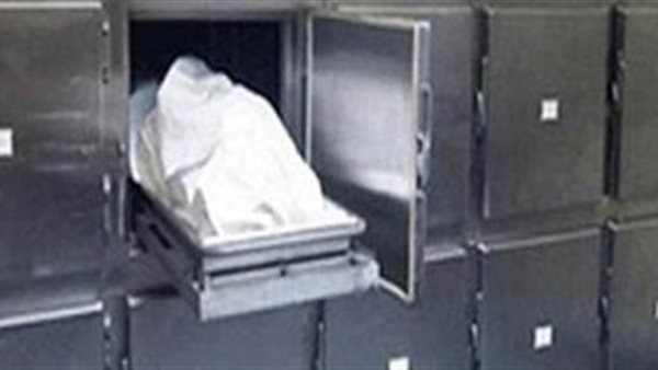 مصرع وإصابة 9 أشخاص في حادث انقلاب سيارة بالجيزة