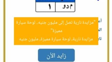 “مزايدة نارية تصل إلى مليون جنيه.. لوحة سيارة مميزة”  
مزايدة نارية, لوحة سيارة مميزة, مليون جنيه
