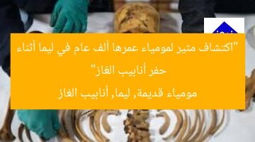 “اكتشاف مثير لمومياء عمرها ألف عام في ليما أثناء حفر أنابيب الغاز”  
مومياء قديمة, ليما, أنابيب الغاز