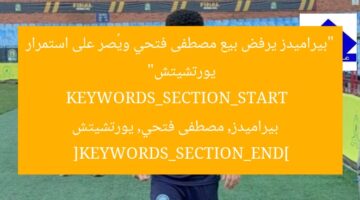 “بيراميدز يرفض بيع مصطفى فتحي ويُصر على استمرار يورتشيتش”  
KEYWORDS_SECTION_START  
بيراميدز, مصطفى فتحي, يورتشيتش  
[KEYWORDS_SECTION_END]