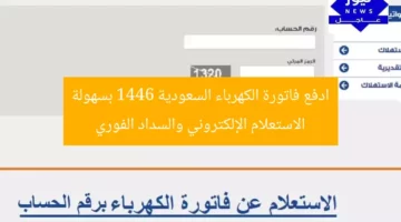 “كيفية استفسار فاتورة الكهرباء 1446 والسداد الإلكتروني سريع وآمن”  
فاتورة الكهرباء, السداد الإلكتروني, 1446