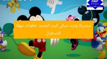 سندريلا وتردد ميكي كيدز الجديد: خطوات سهلة للاستقبال