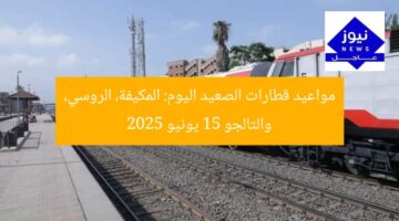 مواعيد قطارات الصعيد اليوم: المكيفة، الروسي، والتالجو 15 يونيو 2025