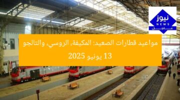 مواعيد قطارات الصعيد: المكيفة، الروسي، والتالجو 13 يونيو 2025