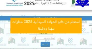 طريقة الاستعلام عن نتائج الشهادة السودانية 2025 بثقة ودقة مضمونة