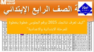 “كيف تعرف نتائجك 2025 برقم الجلوس خطوة بخطوة للمرحلة الابتدائية والاعدادية”