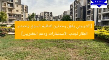 [الشربيني يُفعِّل وحدتين لتنظيم السوق وتصدير العقار لجذب الاستثمارات ودعم المغتربين]