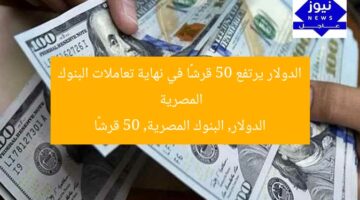 الدولار يرتفع 50 قرشًا في نهاية تعاملات البنوك المصرية  
الدولار, البنوك المصرية, 50 قرشًا