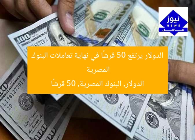 الدولار يرتفع 50 قرشًا في نهاية تعاملات البنوك المصرية
الدولار, البنوك المصرية, 50 قرشًا