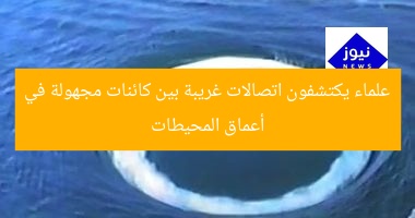 علماء يكتشفون اتصالات غريبة بين كائنات مجهولة في أعماق المحيطات