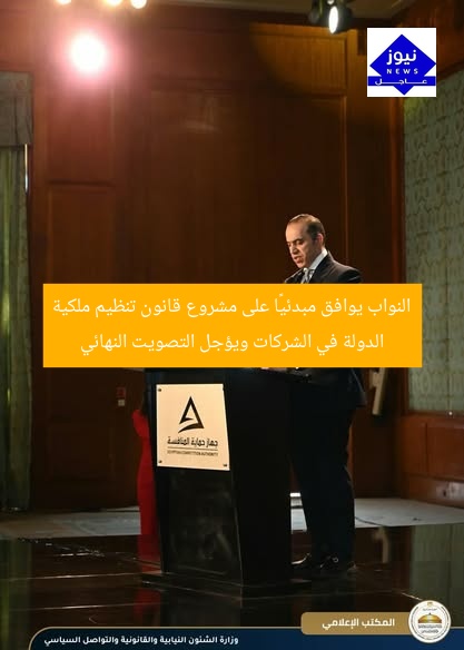 النواب يوافق مبدئيًا على مشروع قانون تنظيم ملكية الدولة في الشركات ويؤجل التصويت النهائي