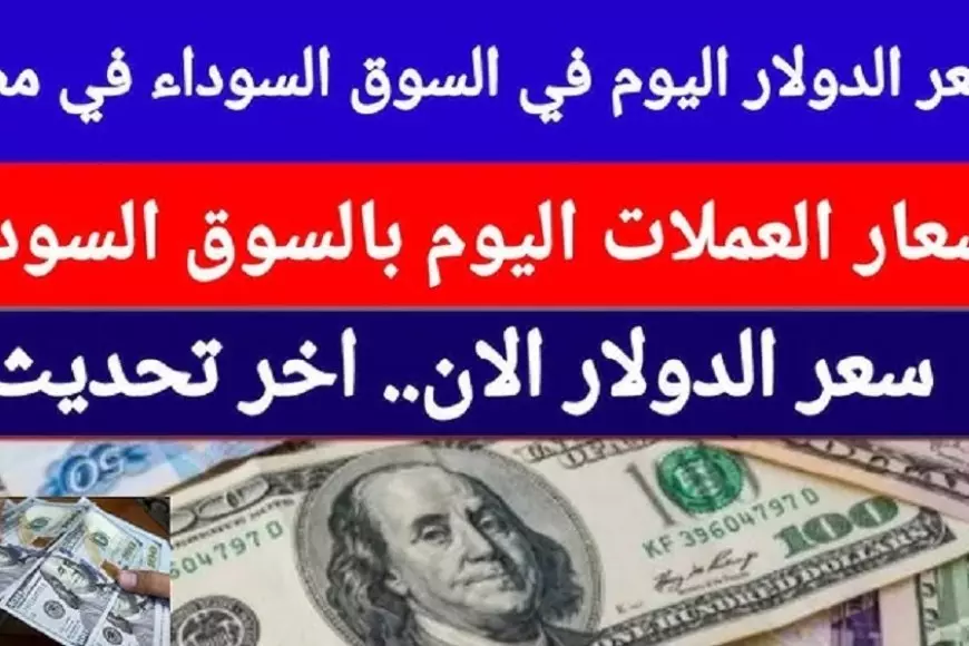 سعر الدولار اليوم في السوق السوداء والبنوك الجمعة 21 / 11 / 2025 تحديثات فورية لحركة العملة الأمريكية