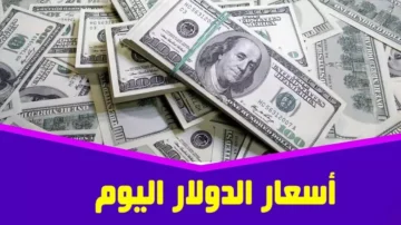 استقرار سعر الدولار مقابل الجنيه المصري اليوم الجمعة 7 نوفمبر في البنوك والسوق السوداء