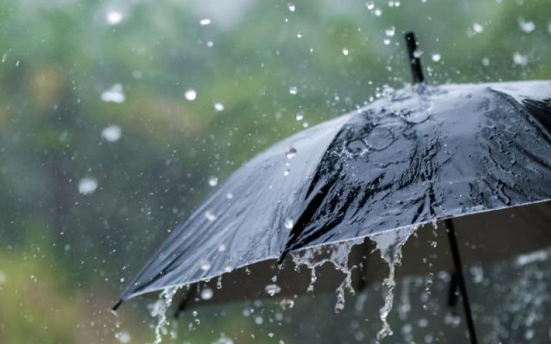 عاجل.. منخفض جوي يبدأ السبت وفرص أمطار غزيرة وسيول