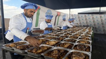 عاجل.. الحملة الأردنية توزع وجبات دجاج طازج شمال غزة لدعم الأسر المتضررة