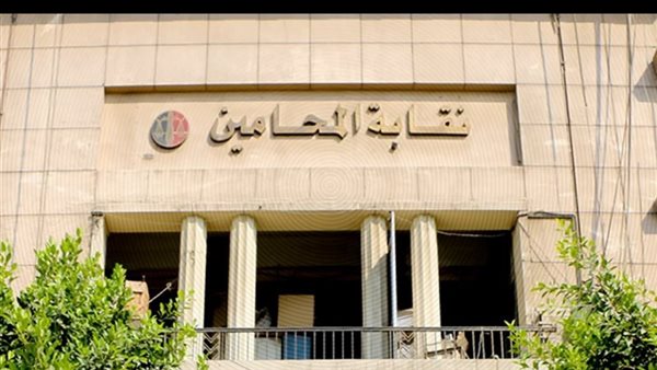 عاجل.. عاجل.. نقابة المحامين تعلن الكشوف الأولية للمرشحين بانتخابات المرحلة الثانية للنقابات الفرعية