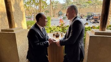 عاجل.. وزير الخارجية يبحث تطورات الأوضاع في فلسطين مع نيكولاي ملادينوف