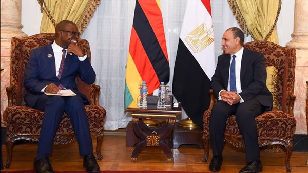 عاجل.. وزير الخارجية يلتقي وزير خارجية زيمبابوي لتعزيز التعاون الثنائي