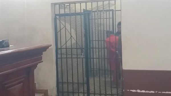 عاجل.. إحالة أوراق المتهم في قضية «توربيني البحيرة» إلى مفتي الجمهورية