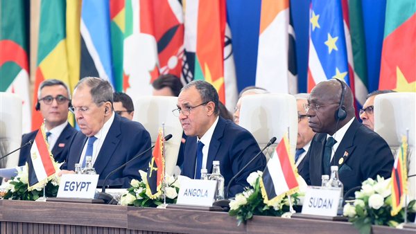 عاجل.. وزير الخارجية يستعرض رؤية مصر للأمن والتنمية في أفريقيا