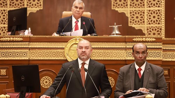 عاجل.. بعد موافقة الشيوخ.. هل يواكب تعديل قانون نقابة المهن الرياضية التطور الأكاديمي؟