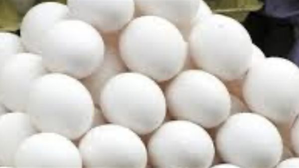 عاجل.. سعر كرتونة البيض اليوم للمستهلك الثلاثاء 23 ديسمبر 2025