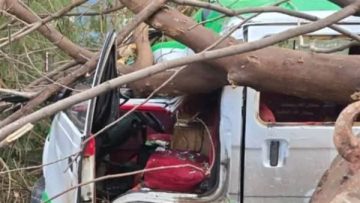 عاجل.. سوء الأحوال الجوية يتسبب في إصابة مواطنين وتحطم سيارة بعد سقوط شجرة بدمنهور