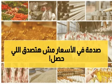 عاجل.. صادم: انفجار جنوني في أسعار الطعام والذهب اليوم… هل تستطيع أسرتك تحمّل الضربة القادمة؟